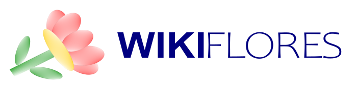 WikiFlores